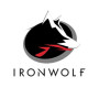 Dysk SSD 1,9 TB SATA 2,5" Seagate IronWolf 110 ZA1920NM10011 - zdjęcie poglądowe 1
