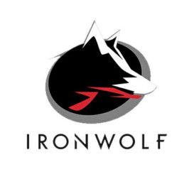 Dysk SSD 1,9 TB SATA 2,5" Seagate IronWolf 110 ZA1920NM10011 - zdjęcie poglądowe 1
