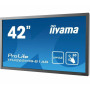 Monitor iiyama ProLite Touch LFD TH4265MIS-B1AG - zdjęcie poglądowe 1