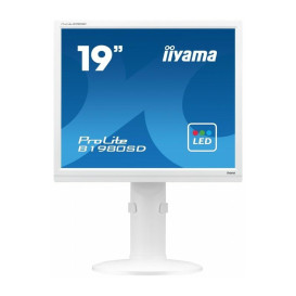 Monitor iiyama ProLite B1980SD-W1 - 19"/1280x1024 (SXGA)/60Hz/5:4/TN/5 ms/pivot/Biały