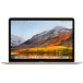 Laptop Apple MacBook 12 MK4M2ZE/A - 5Y31/12" 2304x1440/RAM 8GB/SSD 256GB/Złoty/macOS/1 rok Door-to-Door