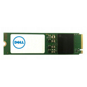 Dysk SSD 256 GB Dell Class 40 AA615519 - zdjęcie poglądowe 1
