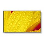 Monitor NEC MultiSync M431-2 60006083, 42,5", 3840x2160 (4K), 86Hz, IPS, 8 ms, Czarny | Sklep ITnes.pl, IT for BUSINESS