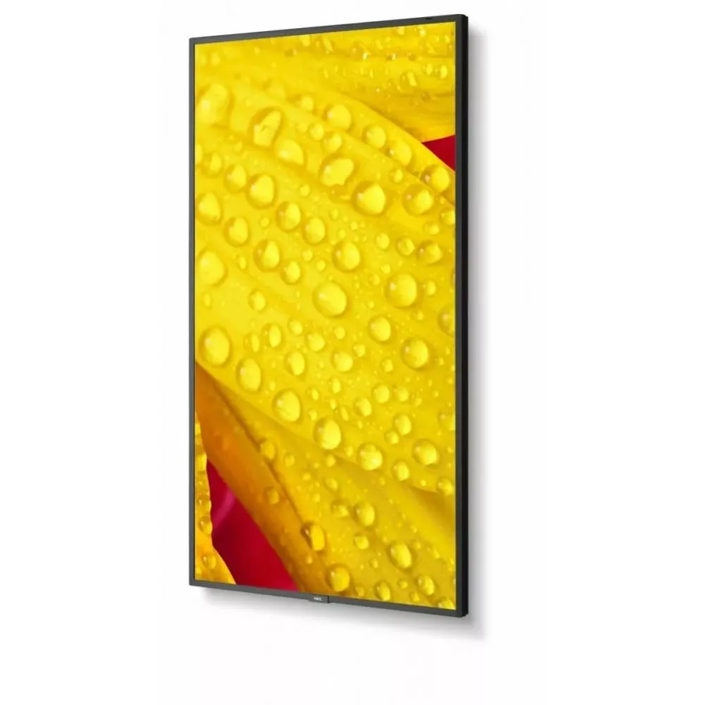NEC MultiSync M431-2 60006083