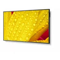 Monitor NEC MultiSync M431-2 60006083, 42,5", 3840x2160 (4K), 86Hz, IPS, 8 ms, Czarny | Sklep ITnes.pl, IT for BUSINESS Monitor NEC MultiSync M431-2 60006083, 42,5", 3840x2160 (4K), 86Hz, IPS, 8 ms, Czarny | Sklep ITnes.pl, IT for BUSINESS