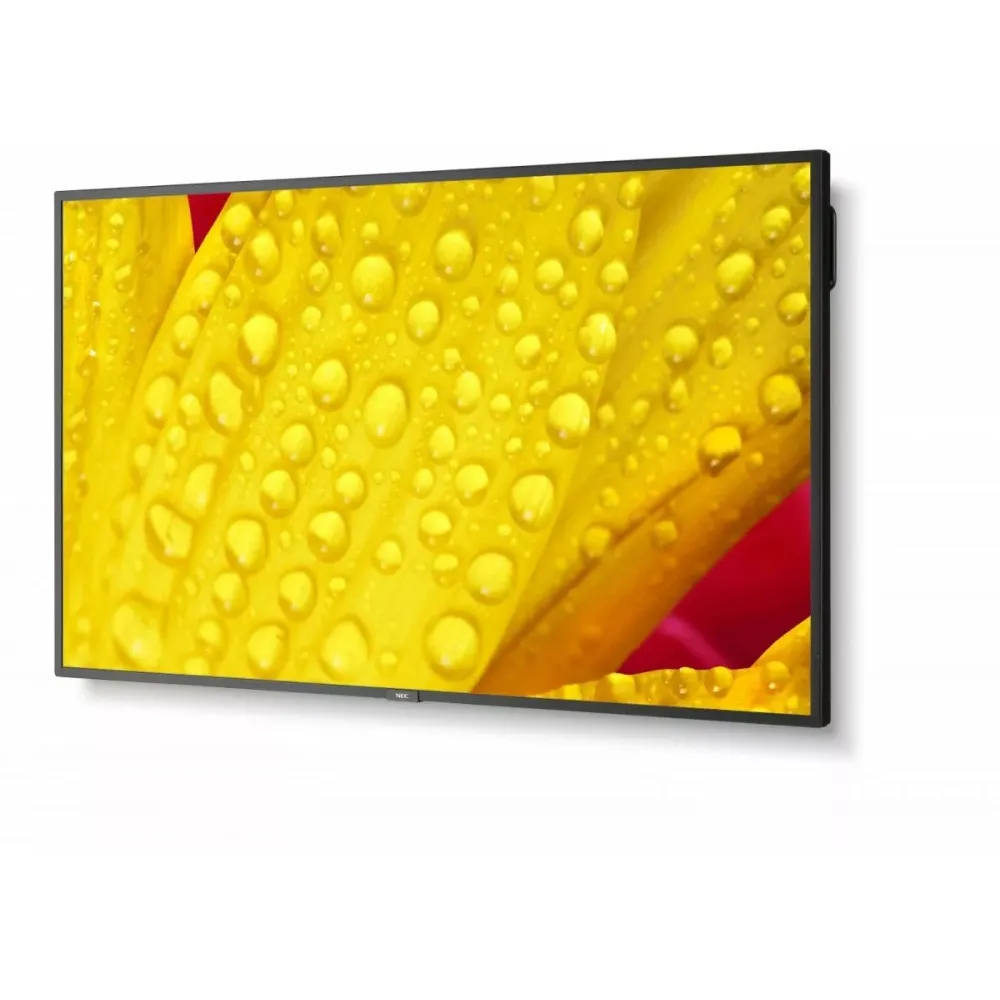 NEC MultiSync M431-2 60006083