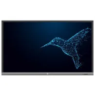 Monitor AVTek TouchScreen 5 LITE 55 1TV135, 55", 3840x2160 (4K), IPS, 8 ms, MT, Czarny | Sklep ITnes.pl, IT for BUSINESS
