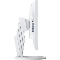 Monitor EIZO FlexScan EV2490-WT, 23,8", 1920x1080 (FHD), 60Hz, IPS, 5 ms, pivot, USB-C, Czarno-biały | Sklep ITnes.pl, IT for BU