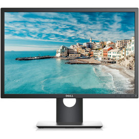 Monitor Dell P2217 210-AJCG - 22"/1680x1050 (WSXGA+)/60Hz/16:10/TN/6 ms/pivot/Czarny