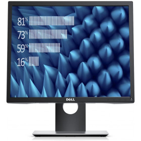 Monitor Dell P1917S 210-AJBG - 19", 1280x1024 (SXGA), 60Hz, 5:4, IPS, 8 ms, pivot, Czarny