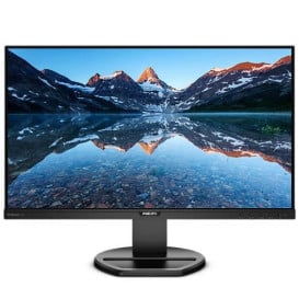 Monitor Philips 252B9/00 - 25"/1920x1200 (WUXGA)/60Hz/16:10/IPS/5 ms/pivot/Czarny