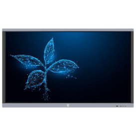 Monitor AVTek TouchScreen 5 Connect 65 1ATB43 - 65"/3840x2160 (4K)/IPS/6 ms/dotykowy/Czarno-wielokolorowy