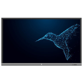 Monitor AVTek TouchScreen 5 Lite 55 1TV175 - zdjęcie poglądowe 1