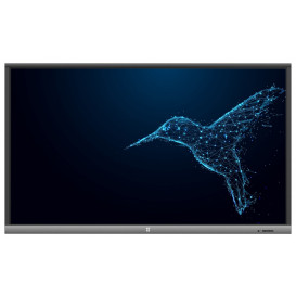 Monitor AVTek TouchScreen 5 Lite 55 1TV175 - 55"/3840x2160 (4K)/IPS/8 ms/dotykowy/Czarny