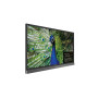 Monitor Benq RP750K 5J.F2K14.021 - zdjęcie poglądowe 1