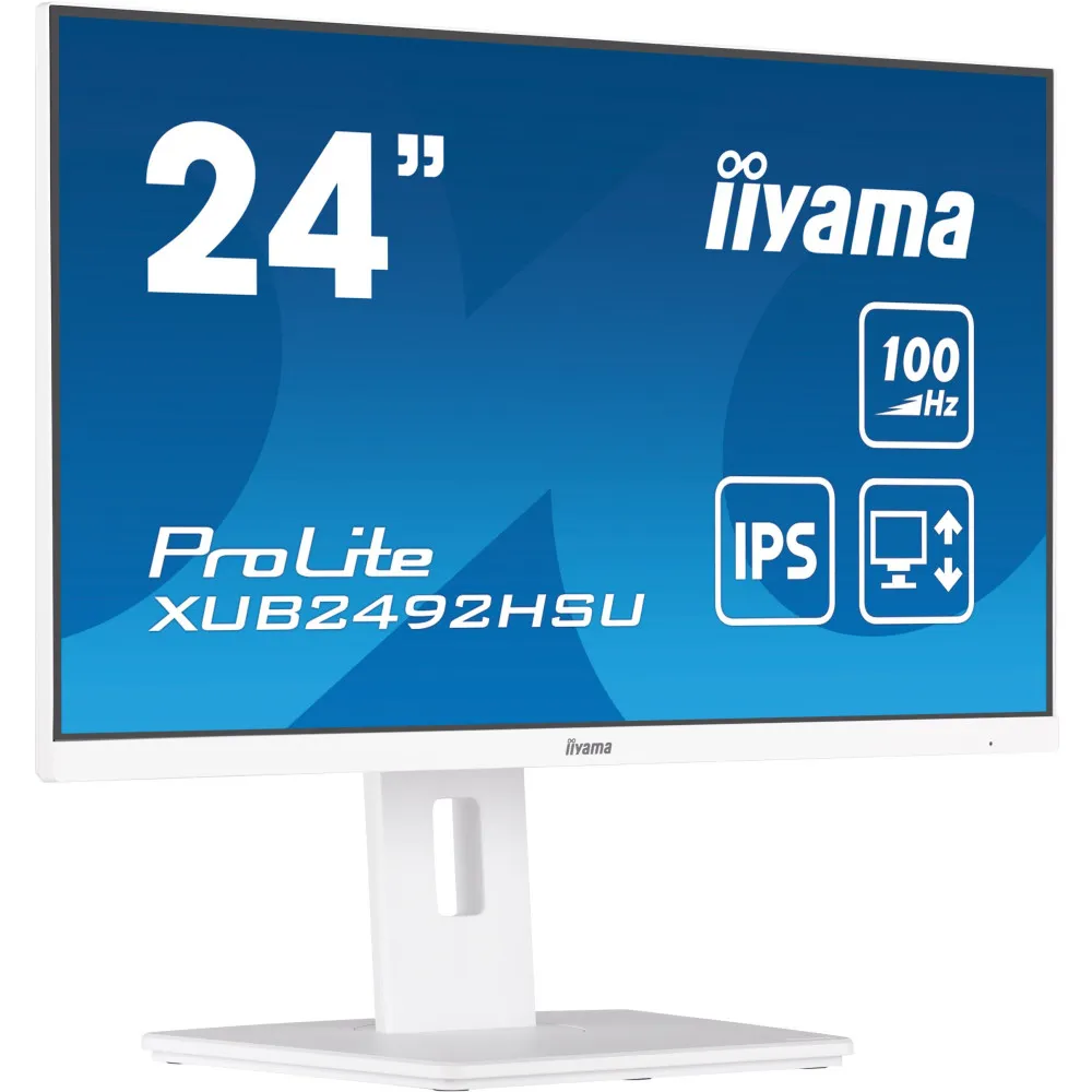 iiyama ProLite XUB2492HSU-W6