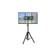 Stojak podłogowy na monitor Techly LCD/LED 17-60" 108002 - 35 kg/Czarny | Sklep ITnes.pl - IT for BUSINESS