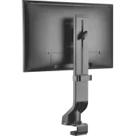 Uchwyt biurkowy do monitora Maclean 17-32" MC-853 - Kolor grafitowy | Sklep ITnes.pl - IT for BUSINESS