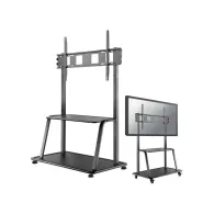 Stojak podłogowy do monitorów Neomounts by Newstar 60-105" NS-M4000BLACK - Czarny