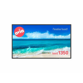 Monitor NEC MultiSync P484 PG 60004254 - 47,6"/1920x1080 (Full HD)/85Hz/PVA/8 ms/Czarny