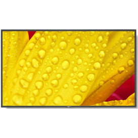 Monitor NEC MultiSync ME431 60005048 - 43"/3840x2160 (4K)/86Hz/IPS/8 ms/pivot/Czarny