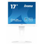 Monitor iiyama ProLite B1780SD-W1 C - zdjęcie poglądowe 6