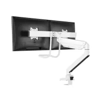 Uchwyt biurkowy do monitora Neomounts by Newstar Flat Screen Desk mount 10-32" NM-D775DXWHITE - Biały