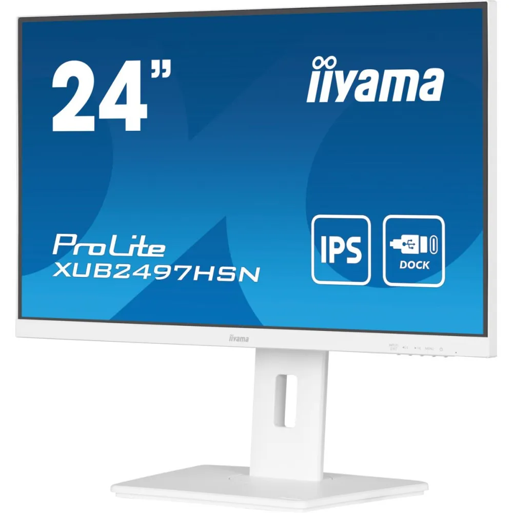 iiyama ProLite XUB2497HSN-W2