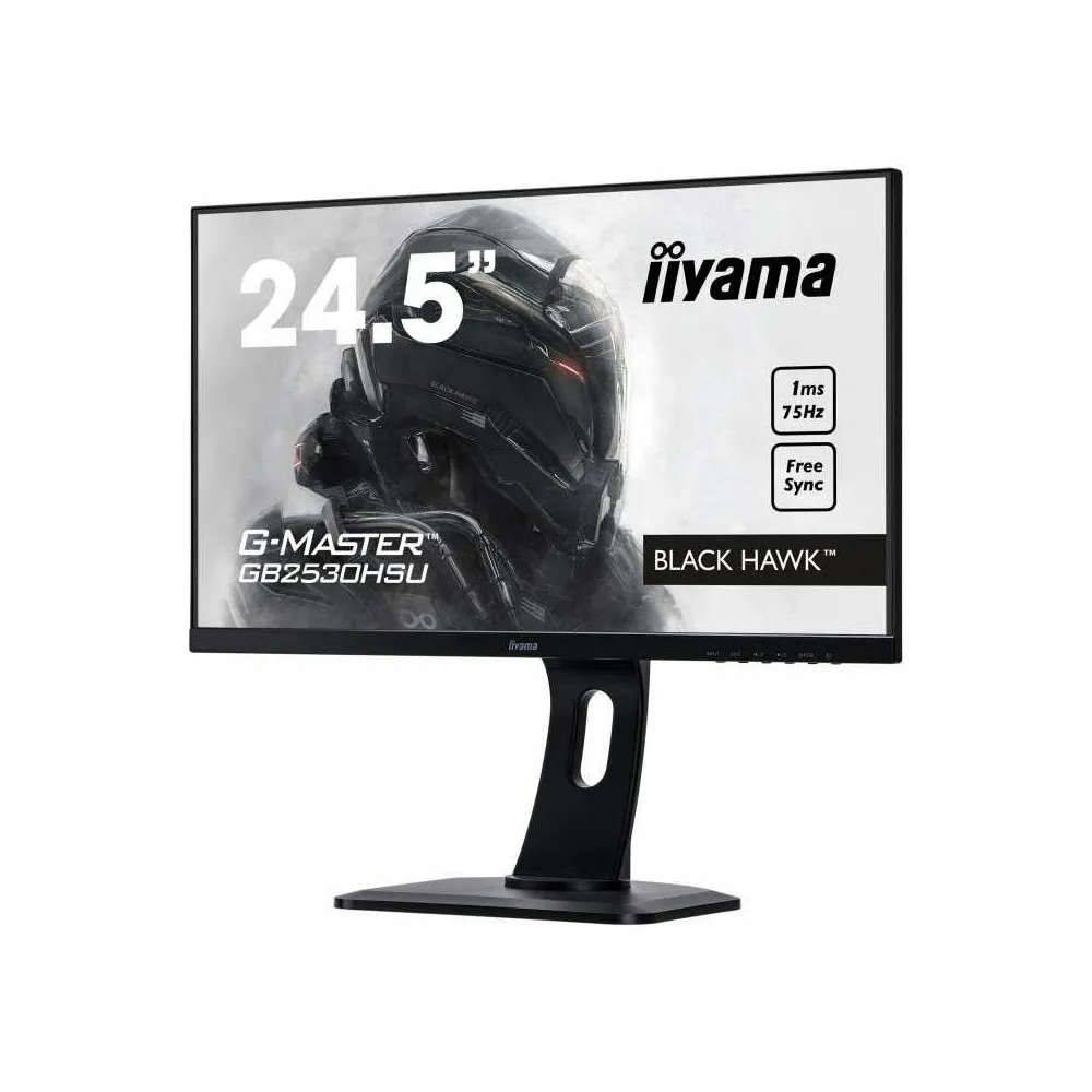Zdjęcie monitora iiyama G-Master GB2530HSU-B1