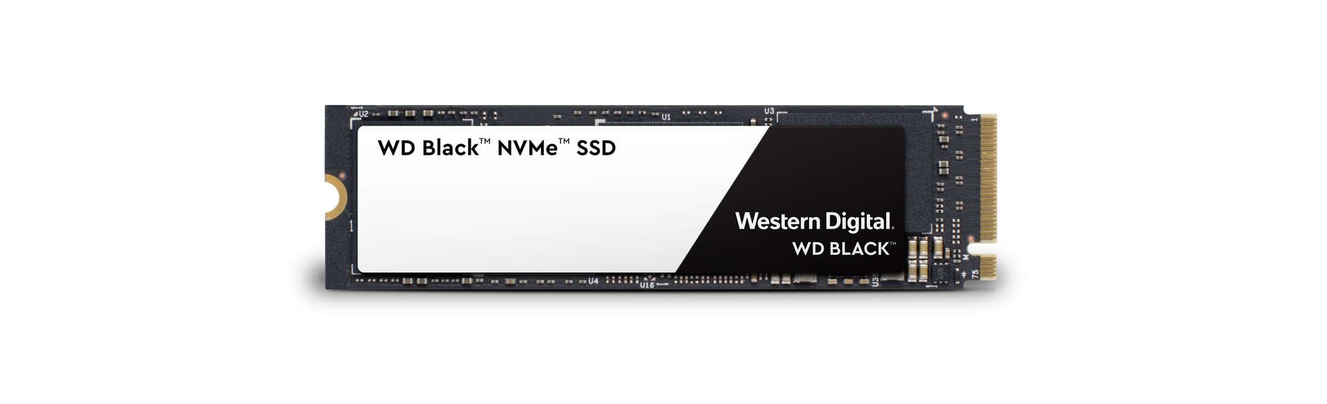nvmessd_1-jpg-imgw-1920-750.jpg