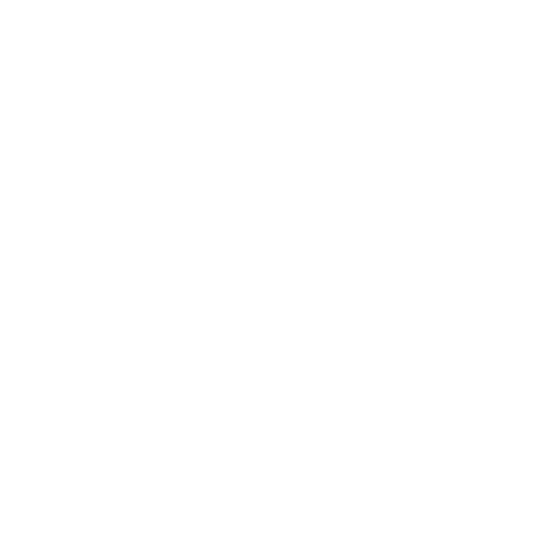 Ikona LAN RJ-45